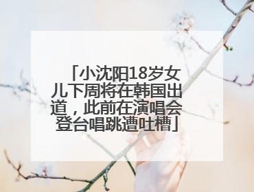 小沈阳18岁女儿下周将在韩国出道，此前在演唱会登台唱跳遭吐槽