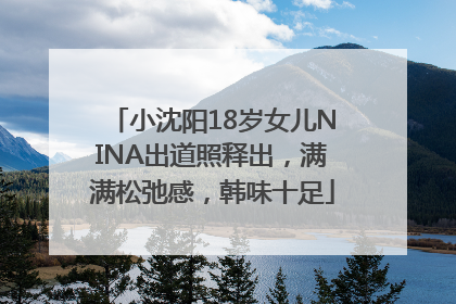 小沈阳18岁女儿NINA出道照释出，满满松弛感，韩味十足