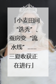 小麦田间“选秀”、蚕房变“流水线”……三夏收获正在进行