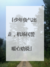 少年负气出走，机场民警暖心劝说