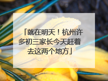 就在明天！杭州许多初三家长今天赶着去这两个地方