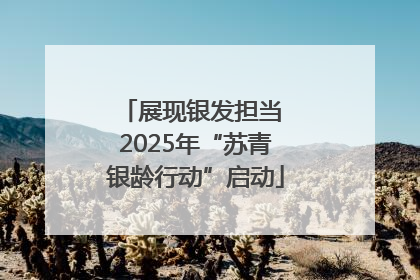 展现银发担当 2025年“苏青银龄行动”启动