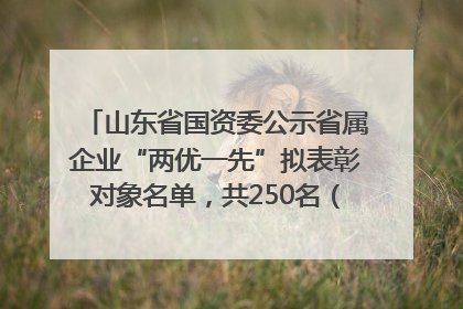 山东省国资委公示省属企业“两优一先”拟表彰对象名单，共250名（个）党员和党组织