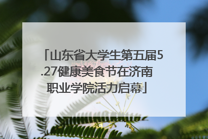 山东省大学生第五届5.27健康美食节在济南职业学院活力启幕