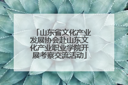 山东省文化产业发展协会赴山东文化产业职业学院开展考察交流活动