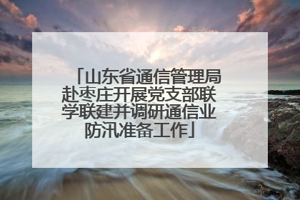 山东省通信管理局赴枣庄开展党支部联学联建并调研通信业防汛准备工作