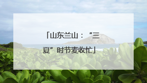 山东兰山：“三夏”时节麦收忙