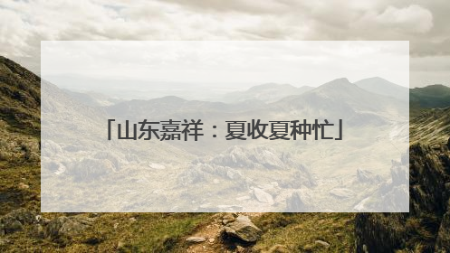 山东嘉祥：夏收夏种忙