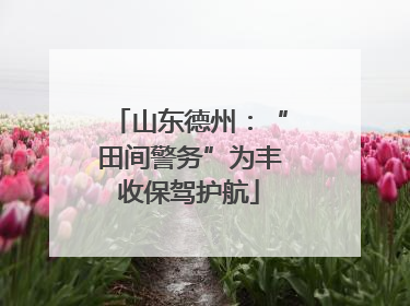 山东德州：“田间警务”为丰收保驾护航