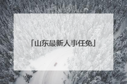 山东最新人事任免
