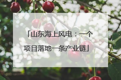 山东海上风电：一个项目落地一条产业链