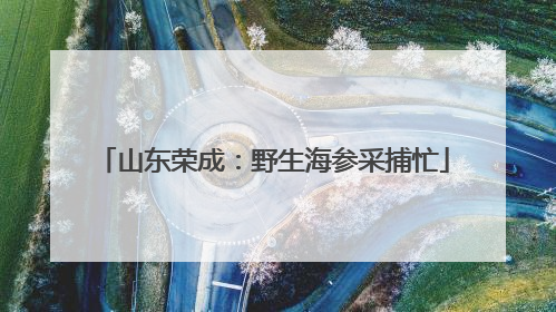山东荣成：野生海参采捕忙