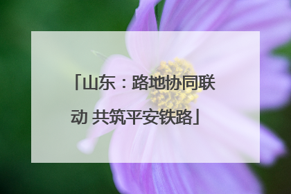 山东：路地协同联动 共筑平安铁路