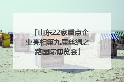 山东22家重点企业亮相第九届丝绸之路国际博览会