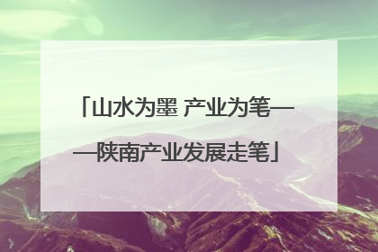 山水为墨 产业为笔——陕南产业发展走笔