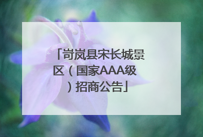 岢岚县宋长城景区（国家AAA级）招商公告