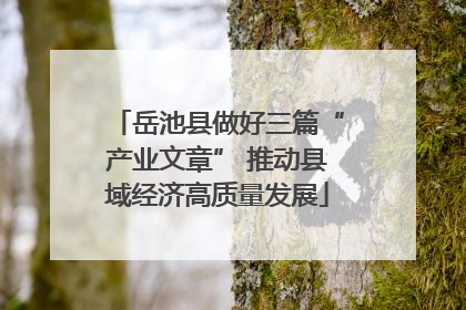 岳池县做好三篇“产业文章” 推动县域经济高质量发展