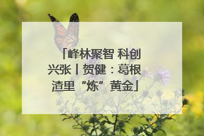 峰林聚智 科创兴张丨贺健：葛根渣里“炼”黄金