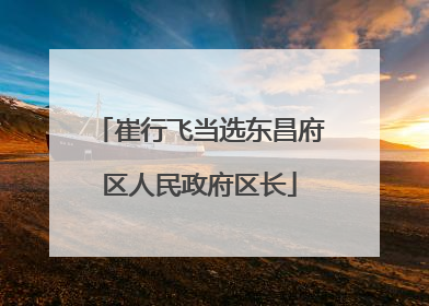崔行飞当选东昌府区人民政府区长