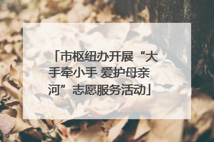 市枢纽办开展“大手牵小手 爱护母亲河”志愿服务活动