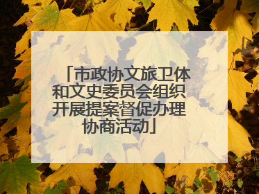 市政协文旅卫体和文史委员会组织开展提案督促办理协商活动