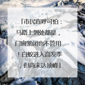 市民直呼可怕：马路上到处都是，门窗紧闭也不管用！白蚁进入高发季，但尚未达顶峰