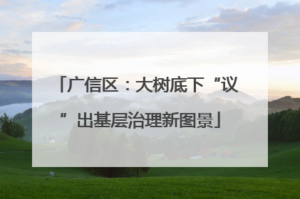 广信区：大树底下“议”出基层治理新图景