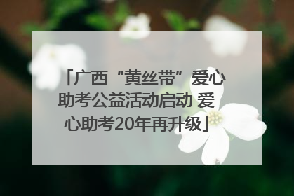 广西“黄丝带”爱心助考公益活动启动 爱心助考20年再升级