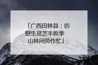 广西田林县：仿野生灵芝丰收季 山林间劳作忙