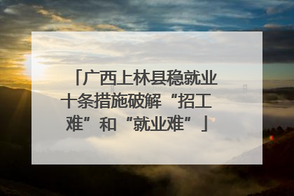 广西上林县稳就业十条措施破解“招工难”和“就业难”