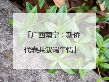 广西南宁：新侨代表共叙端午情