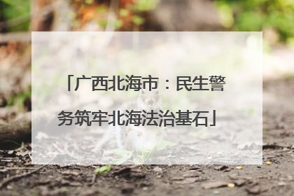 广西北海市：民生警务筑牢北海法治基石