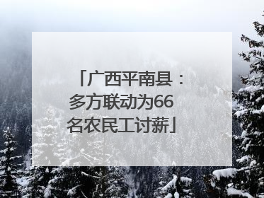 广西平南县：多方联动为66名农民工讨薪