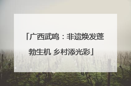 广西武鸣：非遗焕发蓬勃生机 乡村添光彩