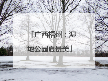 广西梧州：湿地公园夏景美