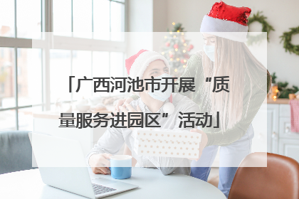 广西河池市开展“质量服务进园区”活动