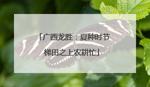 广西龙胜：夏种时节 梯田之上农耕忙