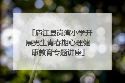 庐江县岗湾小学开展男生青春期心理健康教育专题讲座
