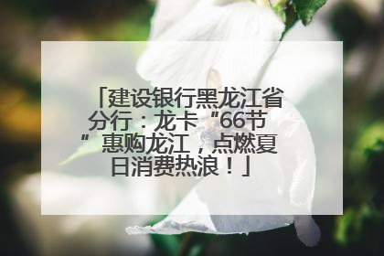 建设银行黑龙江省分行：龙卡“66节”惠购龙江，点燃夏日消费热浪！