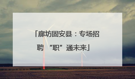 廊坊固安县：专场招聘 “职”通未来