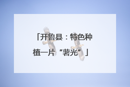 开鲁县：特色种植一片“薯光”