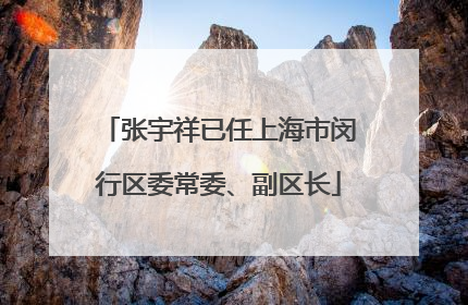 张宇祥已任上海市闵行区委常委、副区长