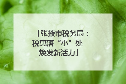 张掖市税务局：税惠落“小”处 焕发新活力
