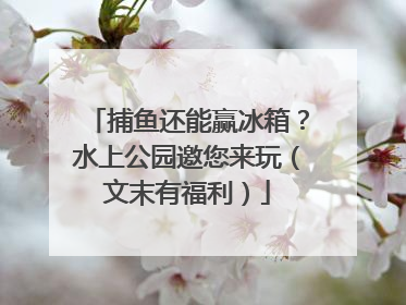 捕鱼还能赢冰箱？水上公园邀您来玩（文末有福利）