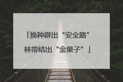 换种辟出“安全路” 林带结出“金果子”