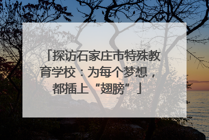 探访石家庄市特殊教育学校：为每个梦想，都插上“翅膀”