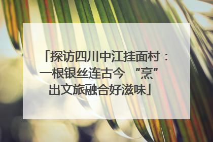 探访四川中江挂面村：一根银丝连古今 “烹”出文旅融合好滋味