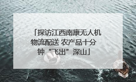 探访江西南康无人机物流配送 农产品十分钟“飞出”深山