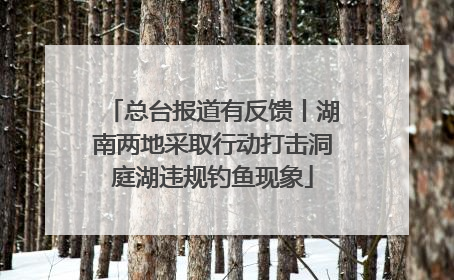 总台报道有反馈丨湖南两地采取行动打击洞庭湖违规钓鱼现象