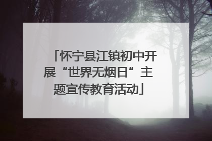 怀宁县江镇初中开展“世界无烟日”主题宣传教育活动